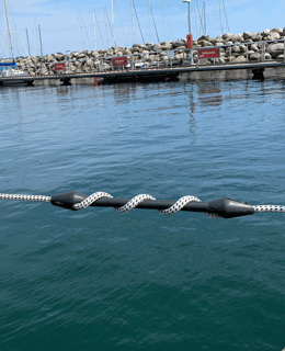 Ankerleinen & Ruckdämpfer.jpg