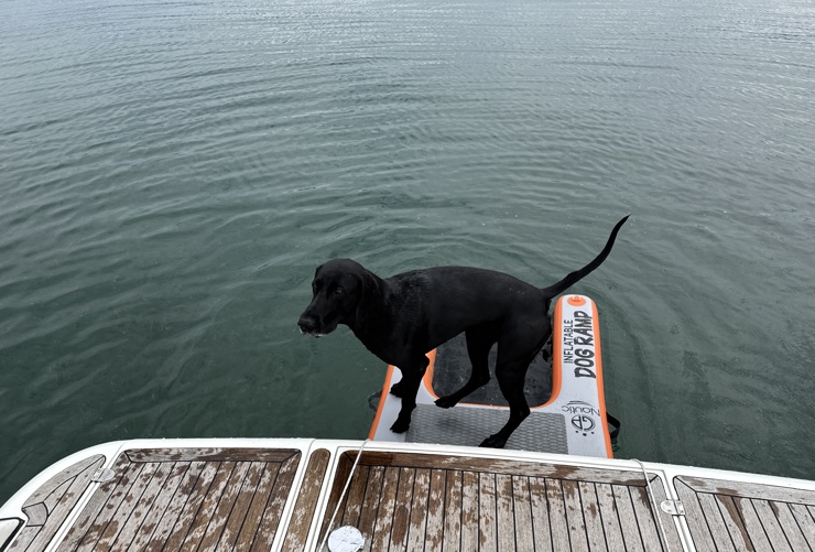 DJI 20250709 132252 742